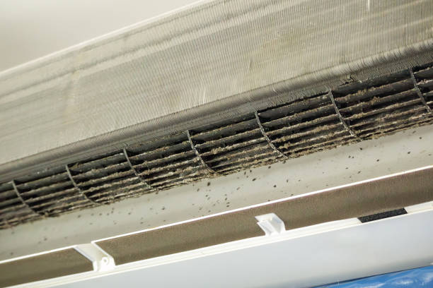 Best Affordable HVAC Duct Cleaning  in Long Beach, MD